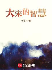 大宋的智慧笔趣阁无弹窗
