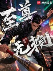 至尊无赖百度百科