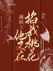 摄政王他又在掐我桃花书评